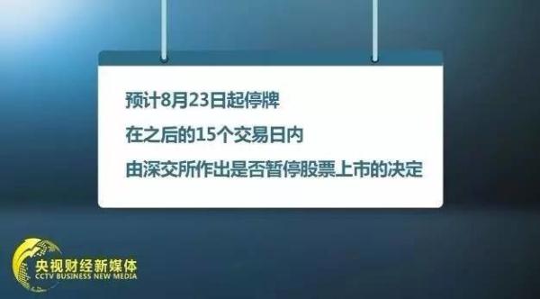 任向敏最新持股概览，深度探究、展望未来发展前景