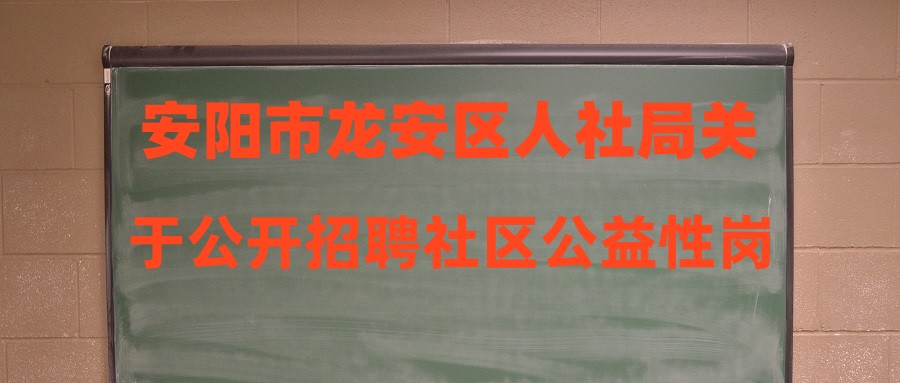 龙安区人力资源和社会保障局招聘最新信息全面解析