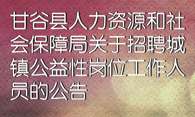 景谷傣族彝族自治县人力资源和社会保障局招聘公告概览