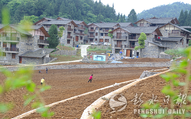 万足镇新项目，引领地区发展的强大引擎