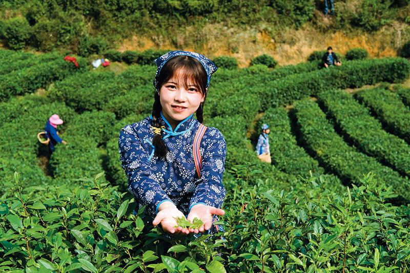 遂川县科技局领导团队最新阵容及未来展望