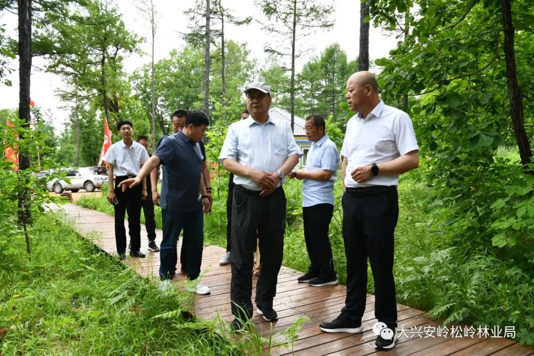 松岭林业局全新发展规划概览