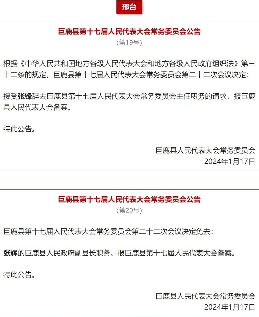 易县数据和政务服务局人事任命动态更新