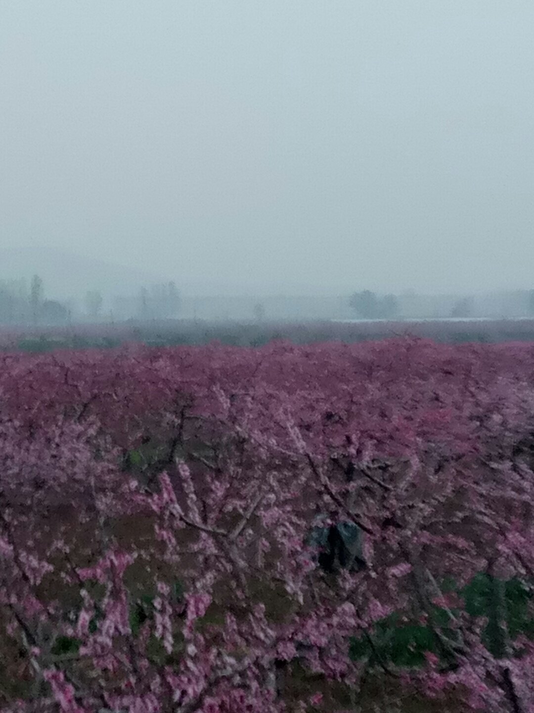 圣泉乡天气预报更新通知