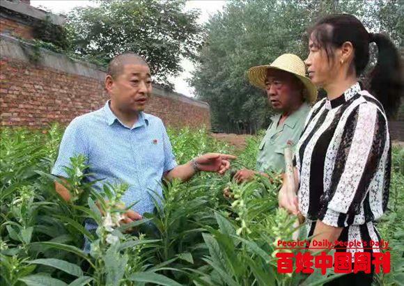 中永村村委会最新动态报道