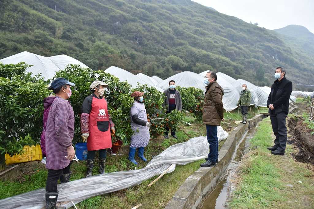 灌阳县农业农村局最新发展规划概览