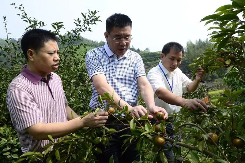 龙胜各族自治县水利局最新领导团队概述