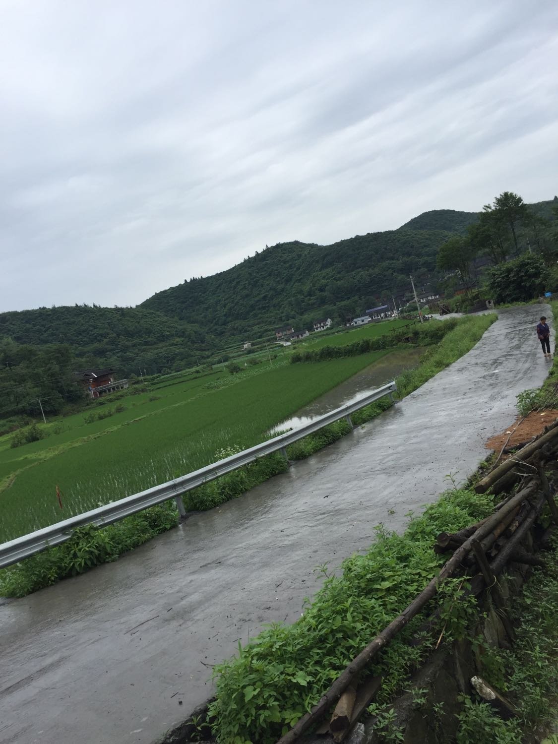 付坝村委会最新天气预报