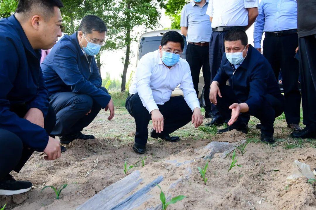 山西省朔州市朔城区窑子头乡新闻速递