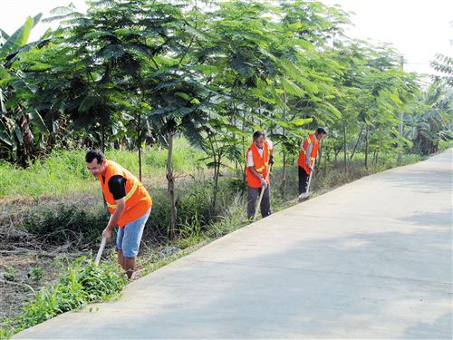 西乡塘区交通运输局最新动态报道