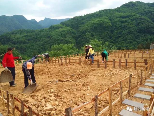 宝峰乡新项目，引领乡村发展的强大新动力