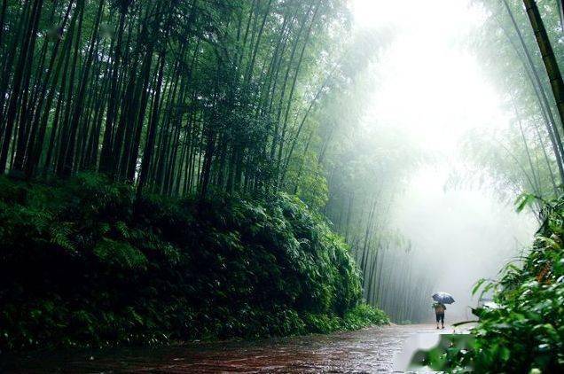 永翠林场最新天气预报