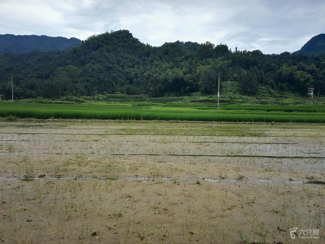 方田乡天气预报更新通知