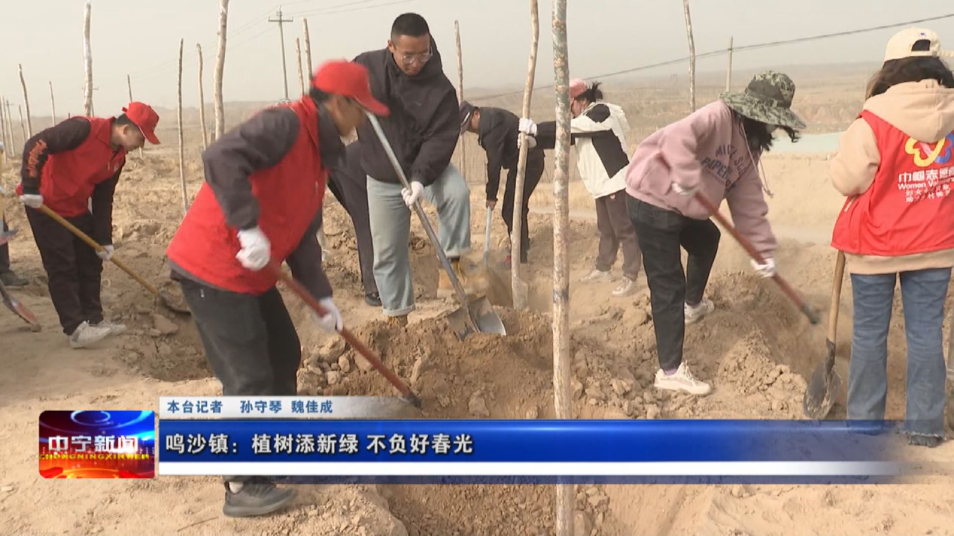 鸣沙镇最新新闻报道