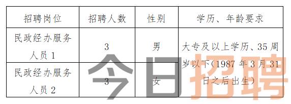 新密市统计局最新招聘信息概览