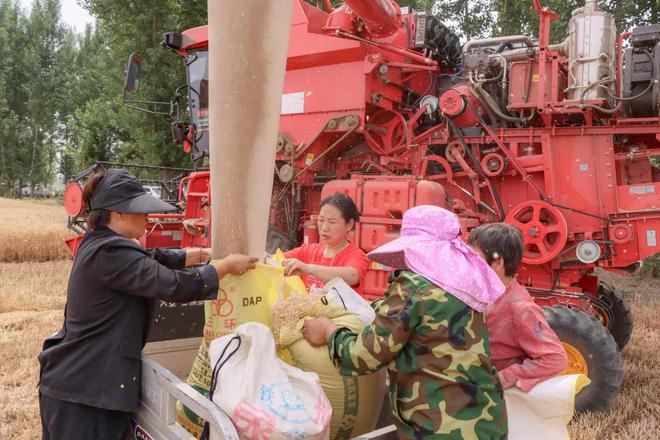 赞善街道办事处新任领导团队，引领未来，塑造新篇章