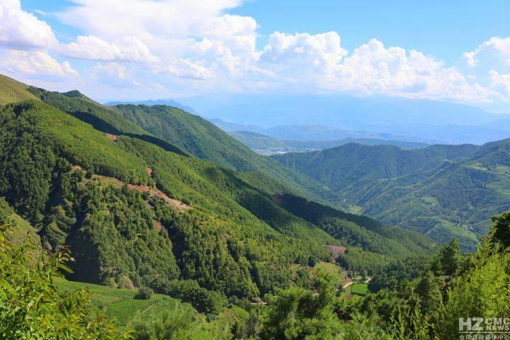 草地子村委会最新发展规划