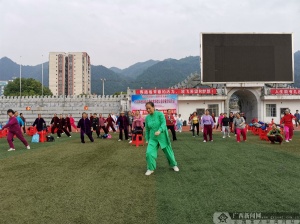 郧西县文化广电体育和旅游局最新项目，推动地方文化体育事业繁荣发展