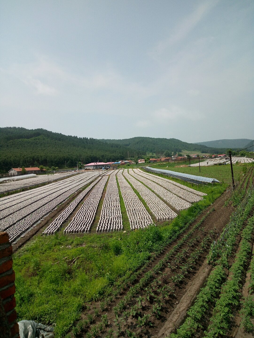 阿荣旗林业局天气预报更新通知