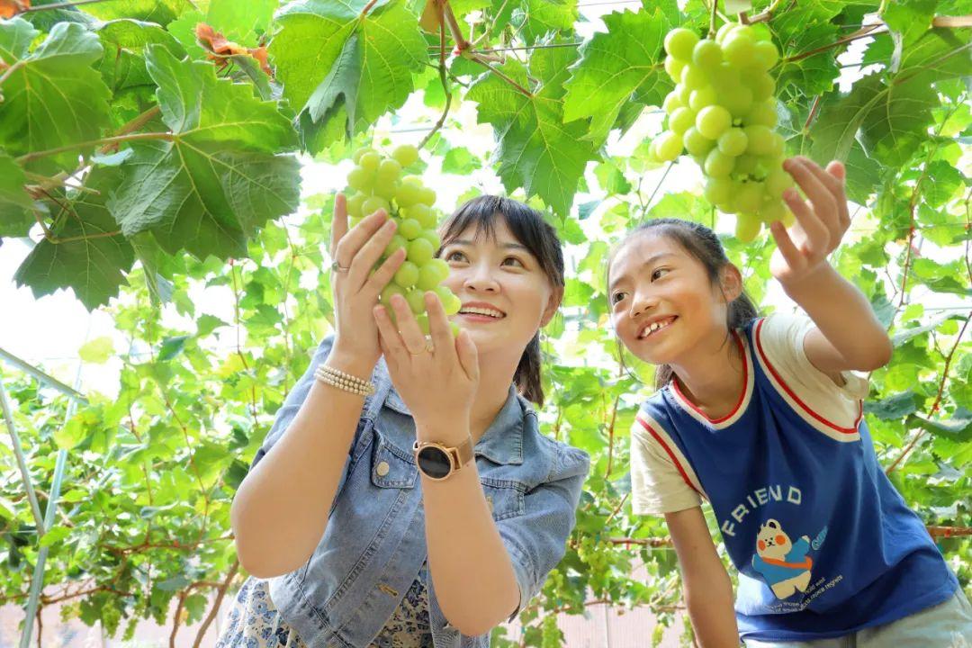 智号村委会新领导团队引领下的崭新气象