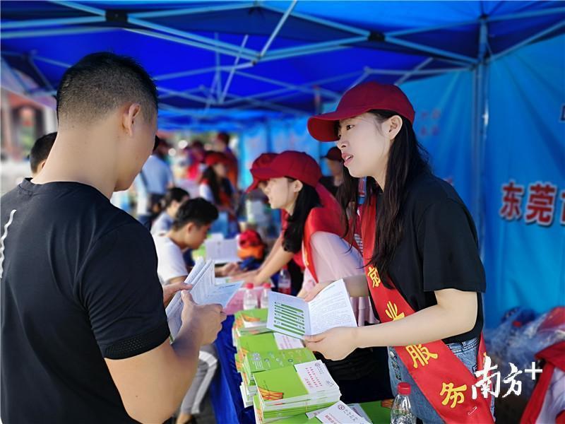 东莞市财政局未来财政蓝图发展规划揭秘，塑造未来财政蓝图