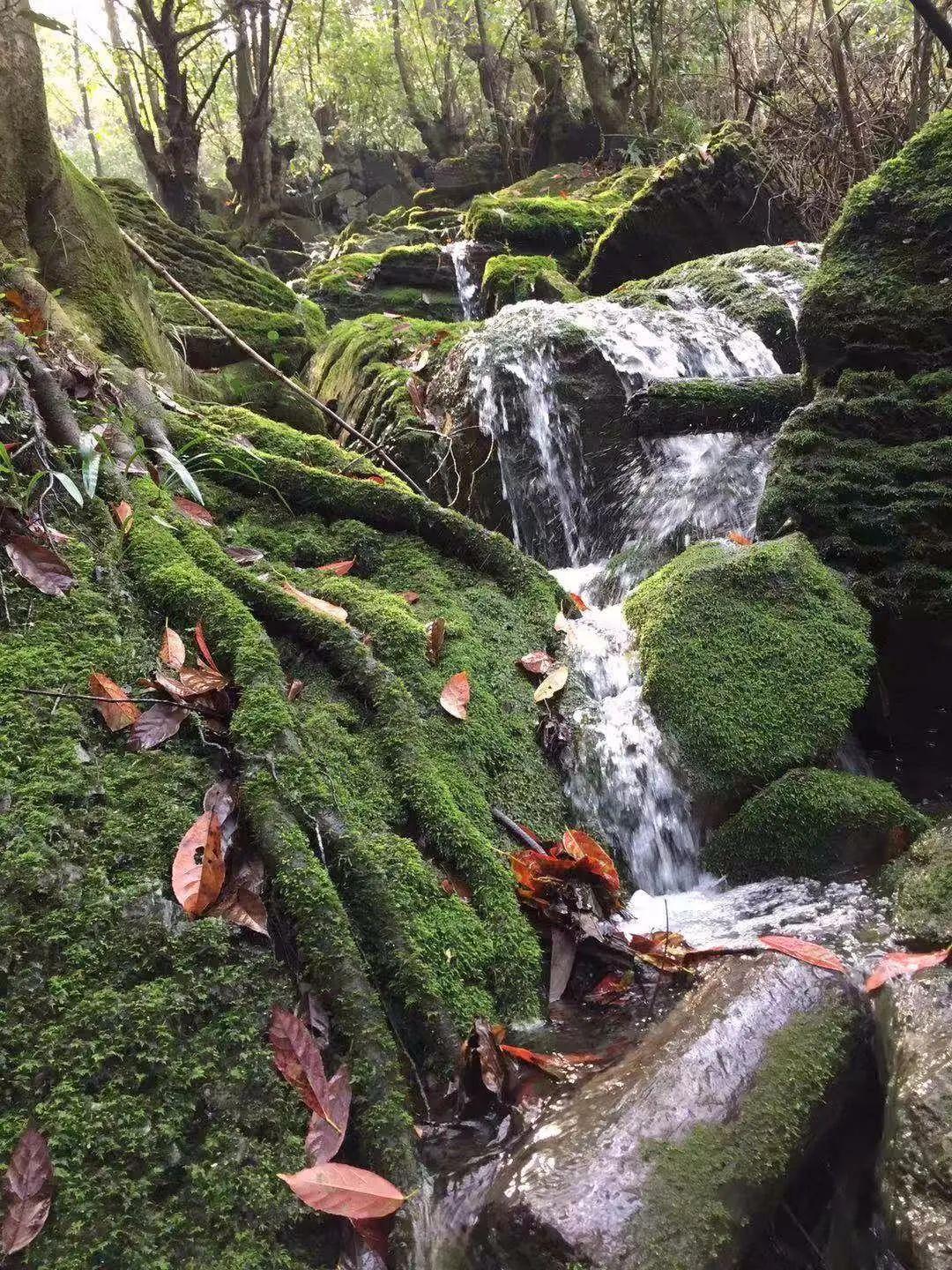 火场土家族乡交通新动态，重塑乡村交通，助力地方经济繁荣